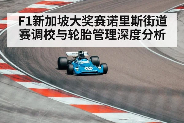 F1新加坡大奖赛诺里斯街道赛调校与轮胎管理深度分析