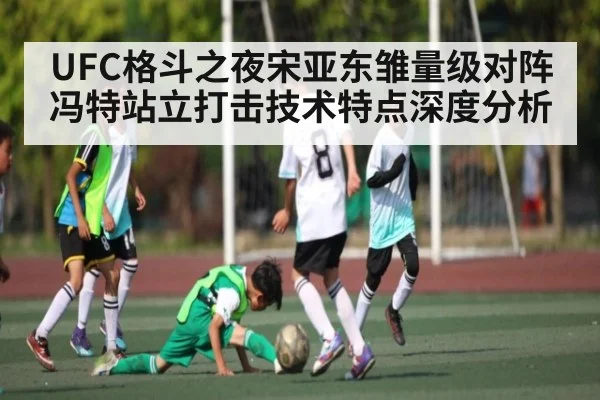 UFC格斗之夜宋亚东雏量级对阵冯特站立打击技术特点深度分析